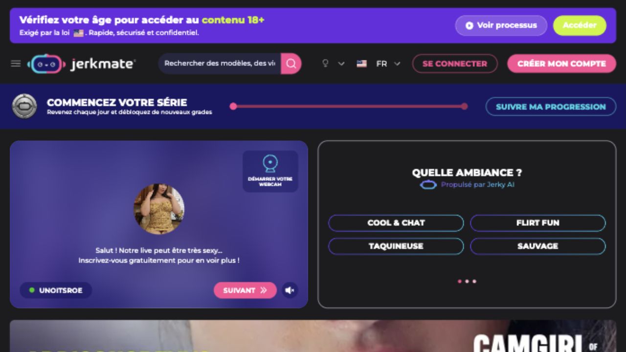 Aperçu de l’interface Jerkmate